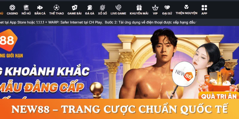 NEW88-trang-ca-cuoc-hop-phap-quoc-te