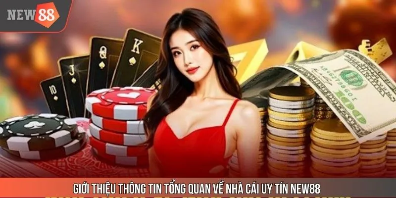 Đôi nét về thương hiệu giải trí New88