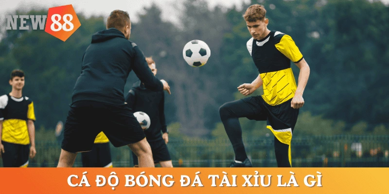 ca-do-bong-da-tai-xiu-la-gi
