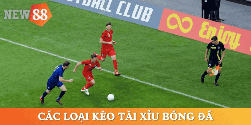 cac-loại-keo-ca-do-bong-da-tai-xiu