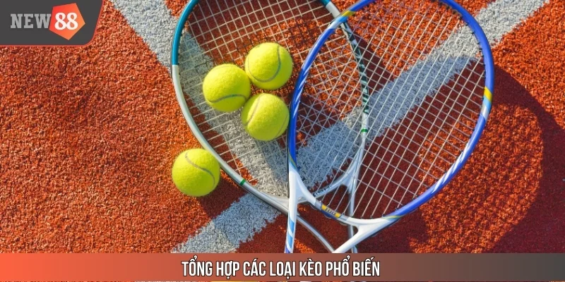 Tổng hợp các loại kèo phổ biến dựa trên cách cá cược tennis