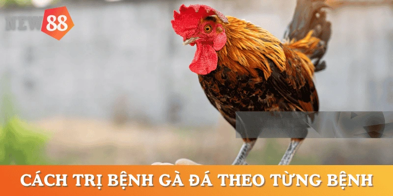 cach-tri-benh-ga-da-theo tung-loai-benh
