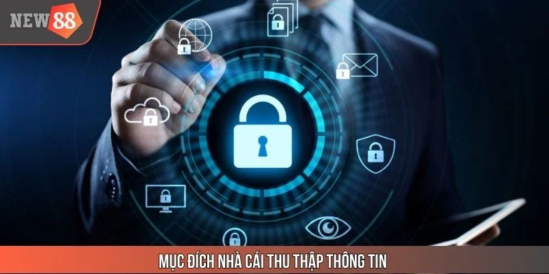 Mục đích trang thu thập thông tin từ khách hàng
