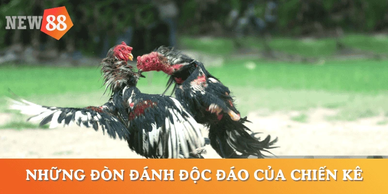 da-ga-don-doc-da-so