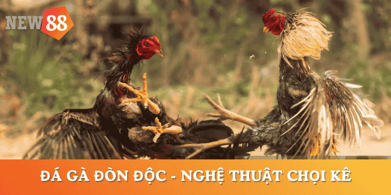 da-ga-don-doc-nghe-thuat-choi-ga