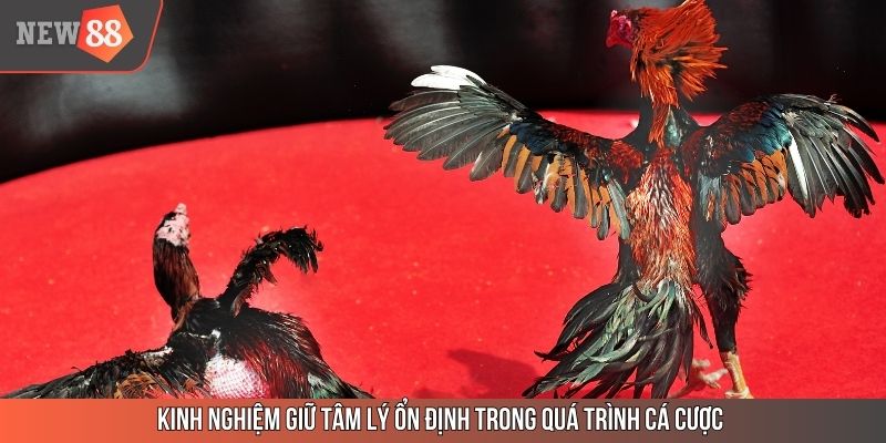 Kinh nghiệm giữ tâm lý ổn định trong quá trình cá cược