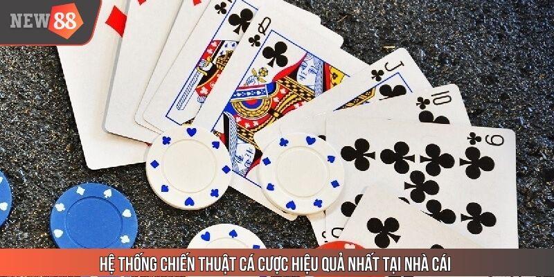 Hệ thống chiến thuật cá cược hiệu quả nhất tại nhà cái