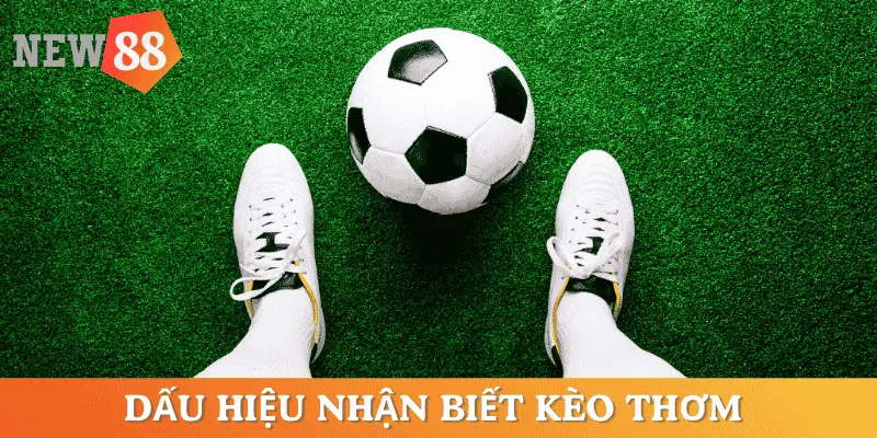 dau-hieu-nhan-biet-keo-thom-bong-da