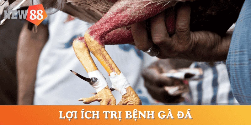 loi-ich-tri-benh-ga-da