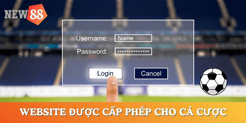 luat-choi-ca-cuoc-bong-da-cac-website-hop-phap