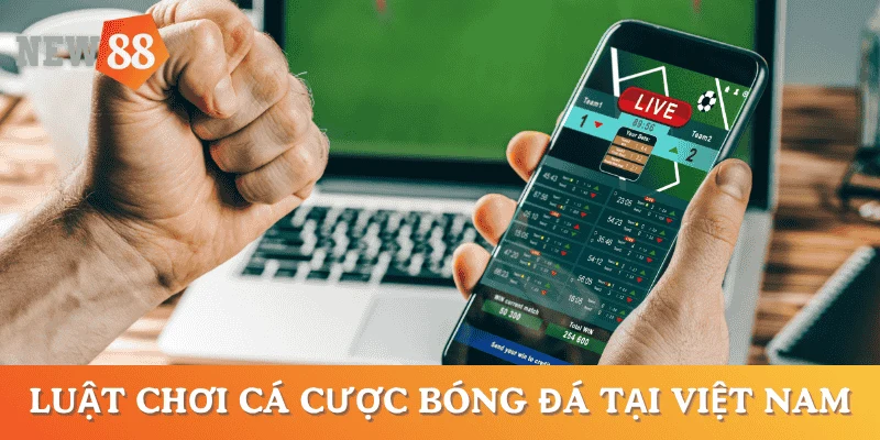 luat-choi-ca-cuoc-bong-da-cac-quy-dinh-phap-ly