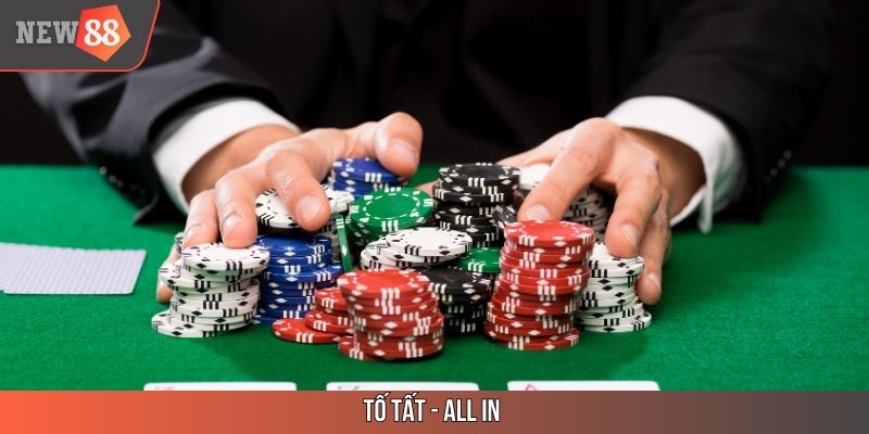 Tố tất - All in