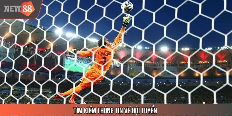 Xem tin tức để biết năng lực từng đội
