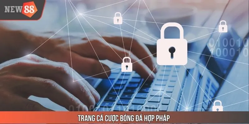Trang cá cược bóng đá hợp pháp