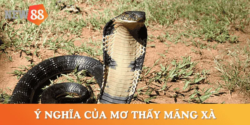 y-nghia-mo-thay-mang-xa