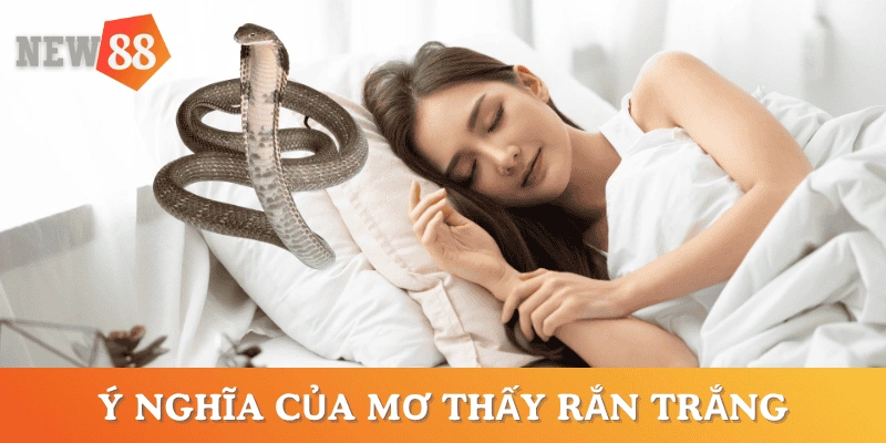 y-nghia-mo-thay-ran-trang