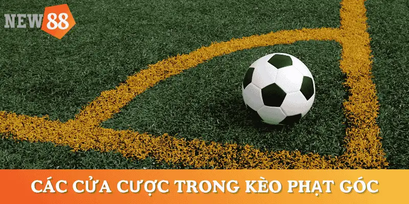 cac-cua-cuoc-keo-phat-goc