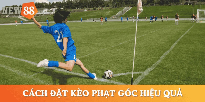 cach-cuoc-keo-phat-goc